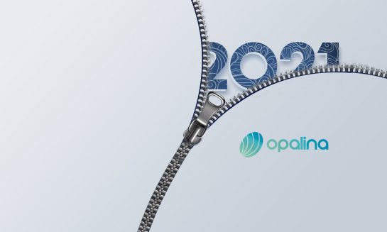 Wrapping-up 2021 at Opalina